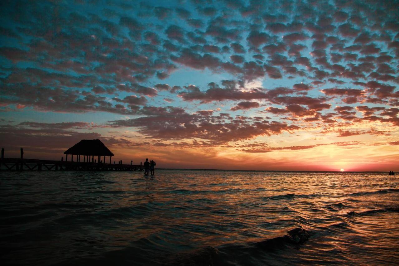 Che Holbox Hostel & Bar Adults Only Esterno foto